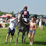 2625402