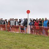 2590424