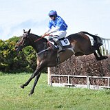 2624255A